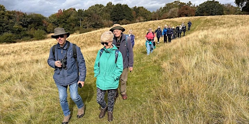 Ramble with the Rangers – Lindow Common SSSI