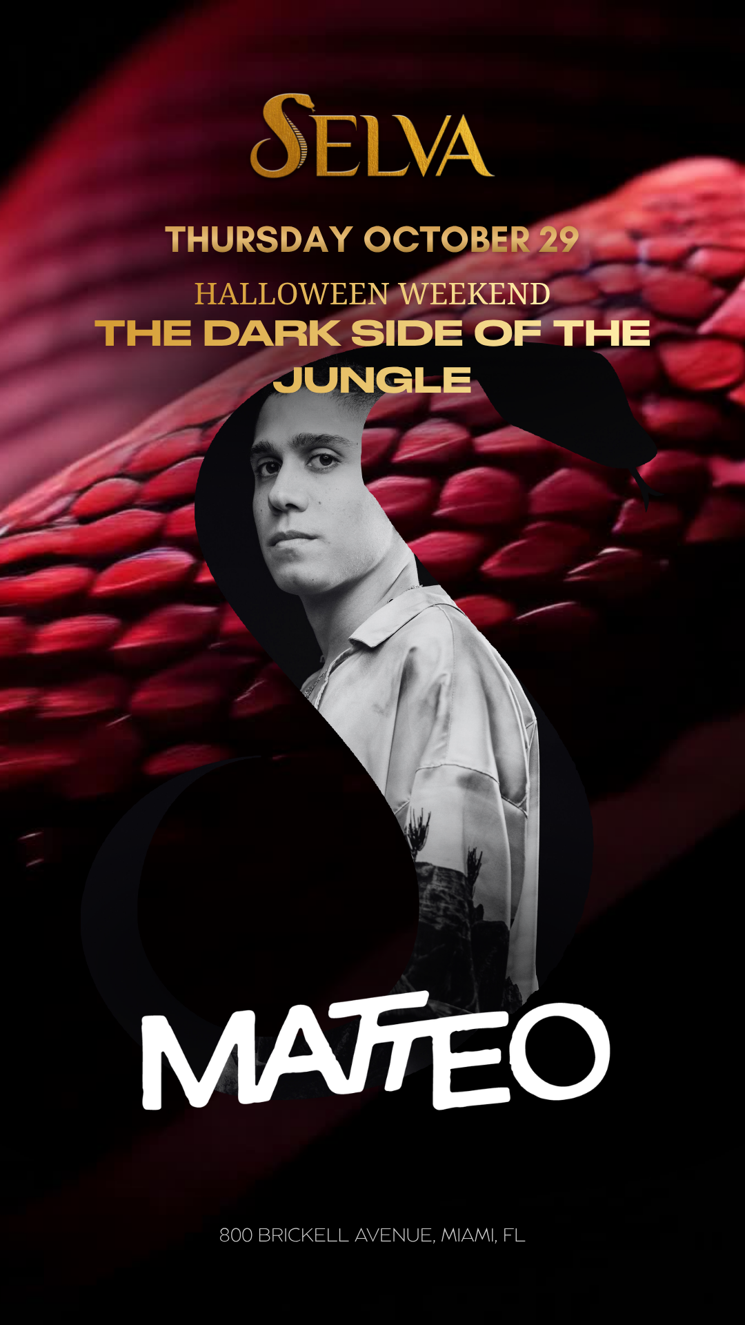 MATTĒO @ Selva