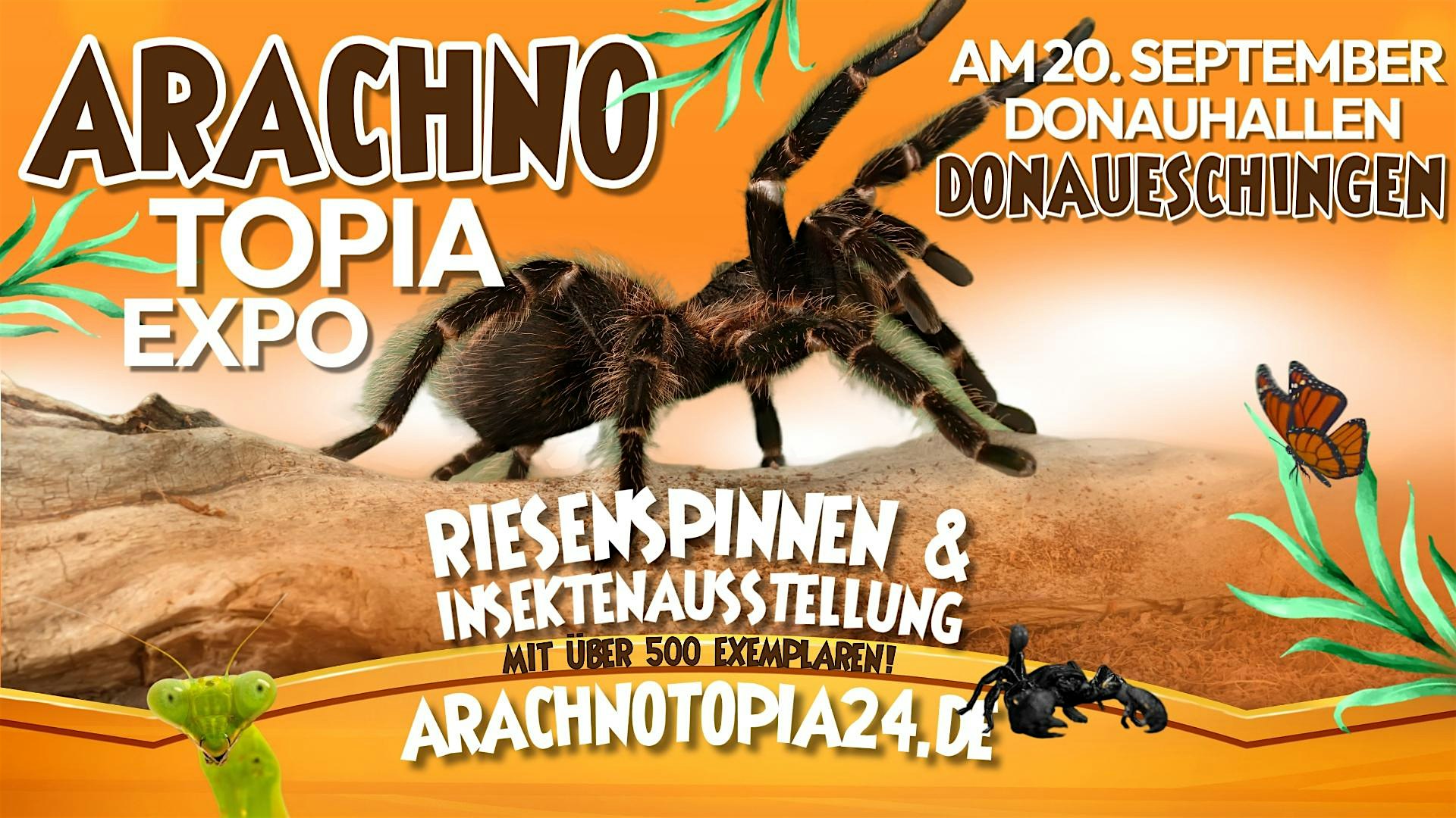 Riesenspinnen & Insektenausstellung - Donaueschingen Donauhallen