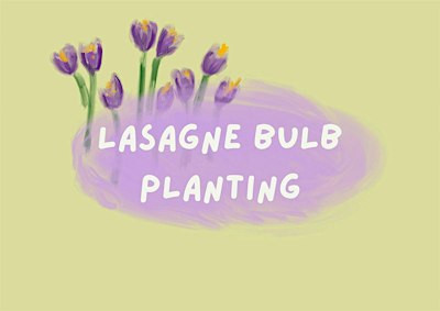 Lasagne Bulb Planting
