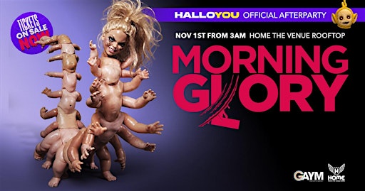 MORNING GORY