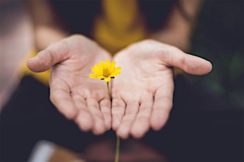 Repair, Restore, Resurge! Reclaiming Human Values in Healthcare