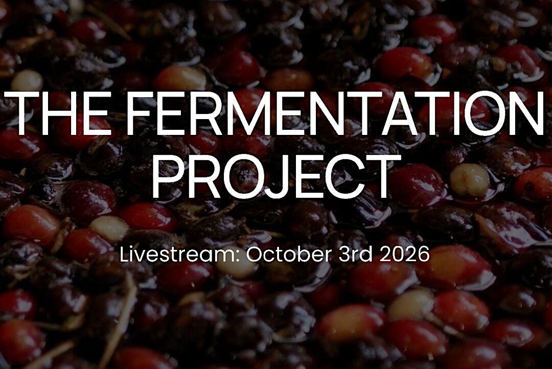 James Hoffmann Global Tasting  – Live Stream & Cupping Session in Antwerpen