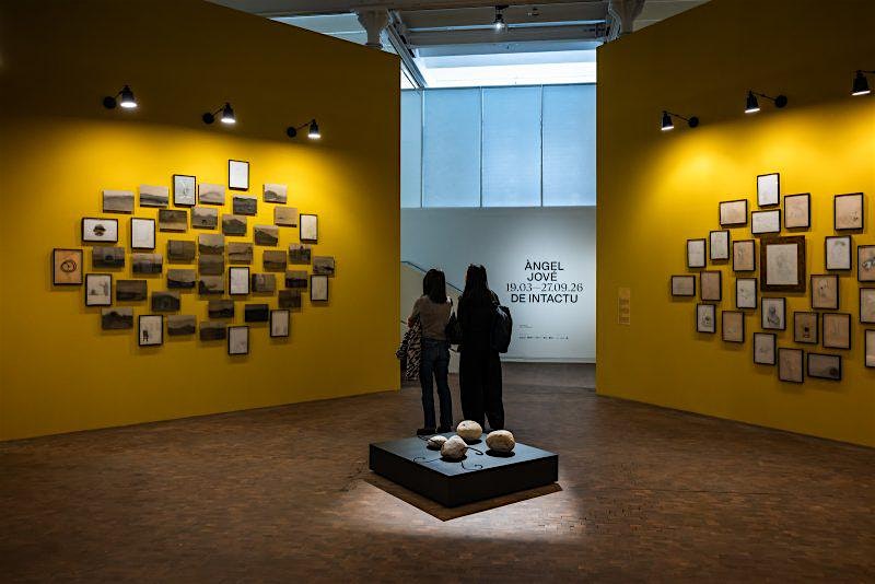 FINESTRES i Museu Tàpies - Club de lectura a : Llibre-mur