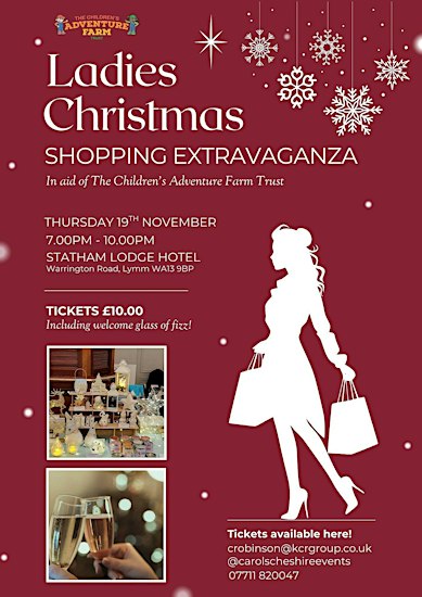 Ladies Christmas Shopping Extravaganza