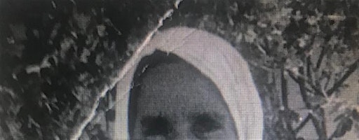 Leila and the oak of Safad (Part II)