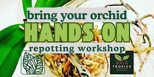 Bring Your Orchid! A Hands-On Repotting Workshop at Lowe's Greenhouse