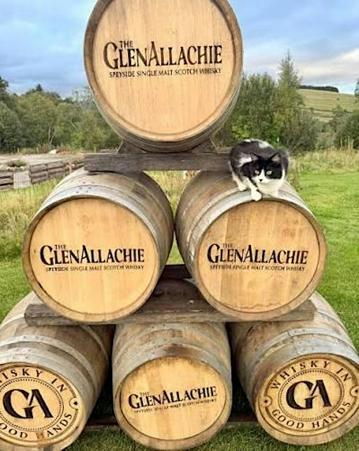 An Evening with GlenAllachie: Rare Whiskies & Speyside Stories