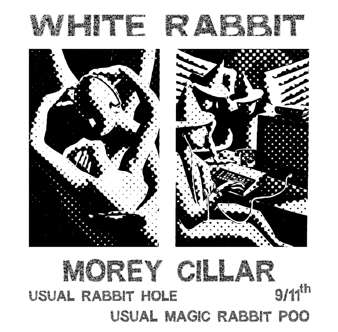 White rabbit
