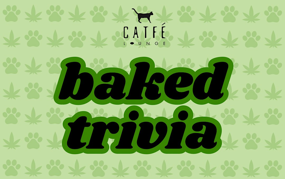 Baked Trivia