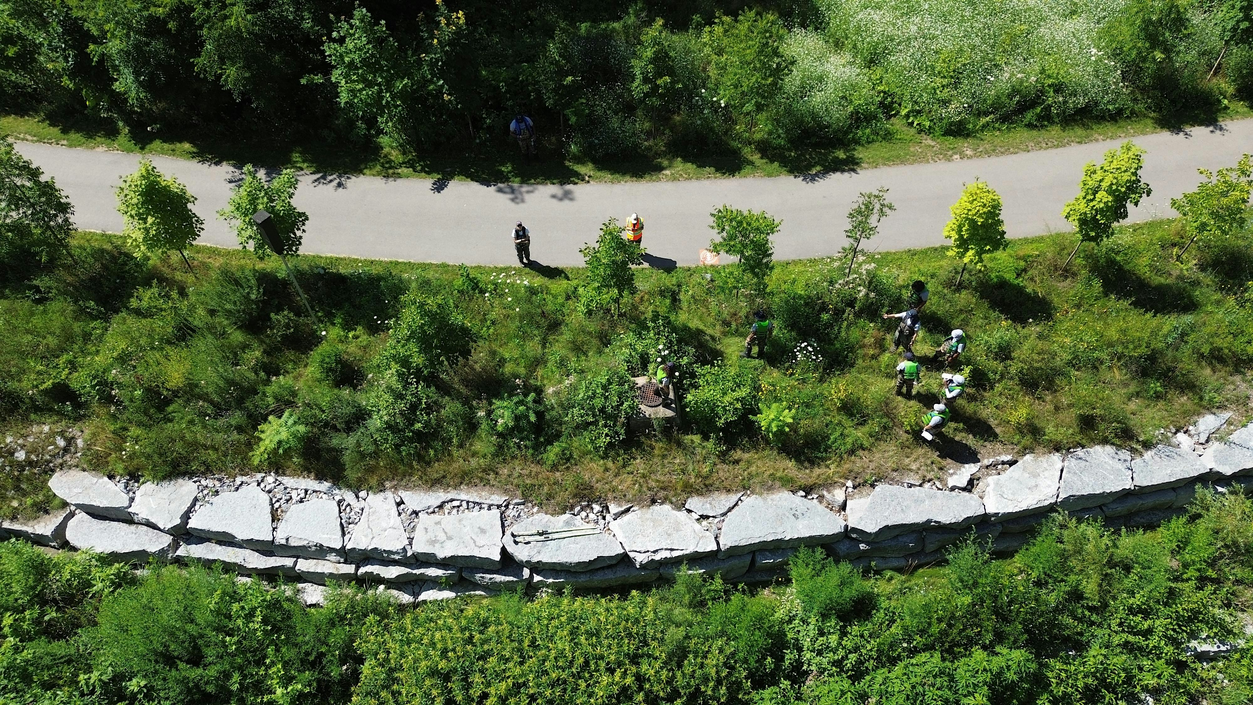 RYT Community Gathering: Connecting Toronto's Ravines