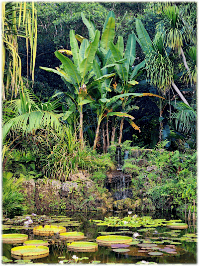 11th Independent Plant Breeders Conference