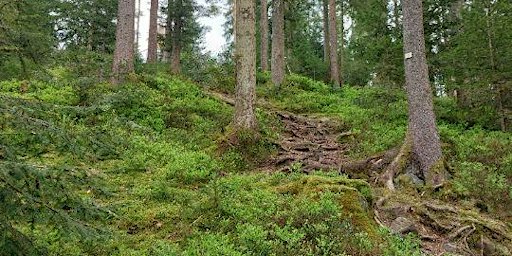 4. Trailcamp Baiersbronn OktoberFestival 2026