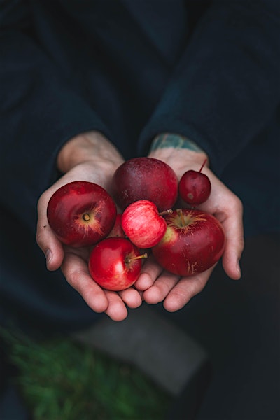 Harvest Haven: Homesteading Workshop