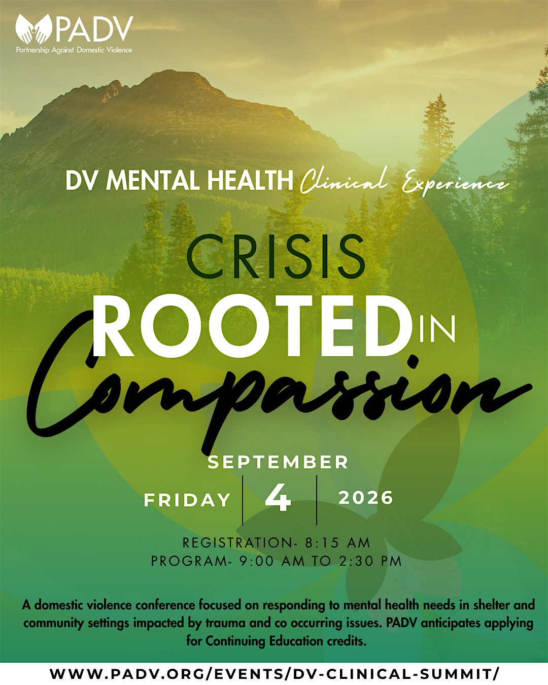 Domestic Violence Mental Health Clinical Experience