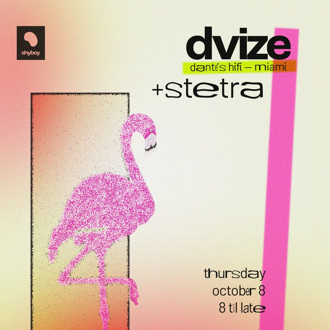 STETRA + DVIZE
