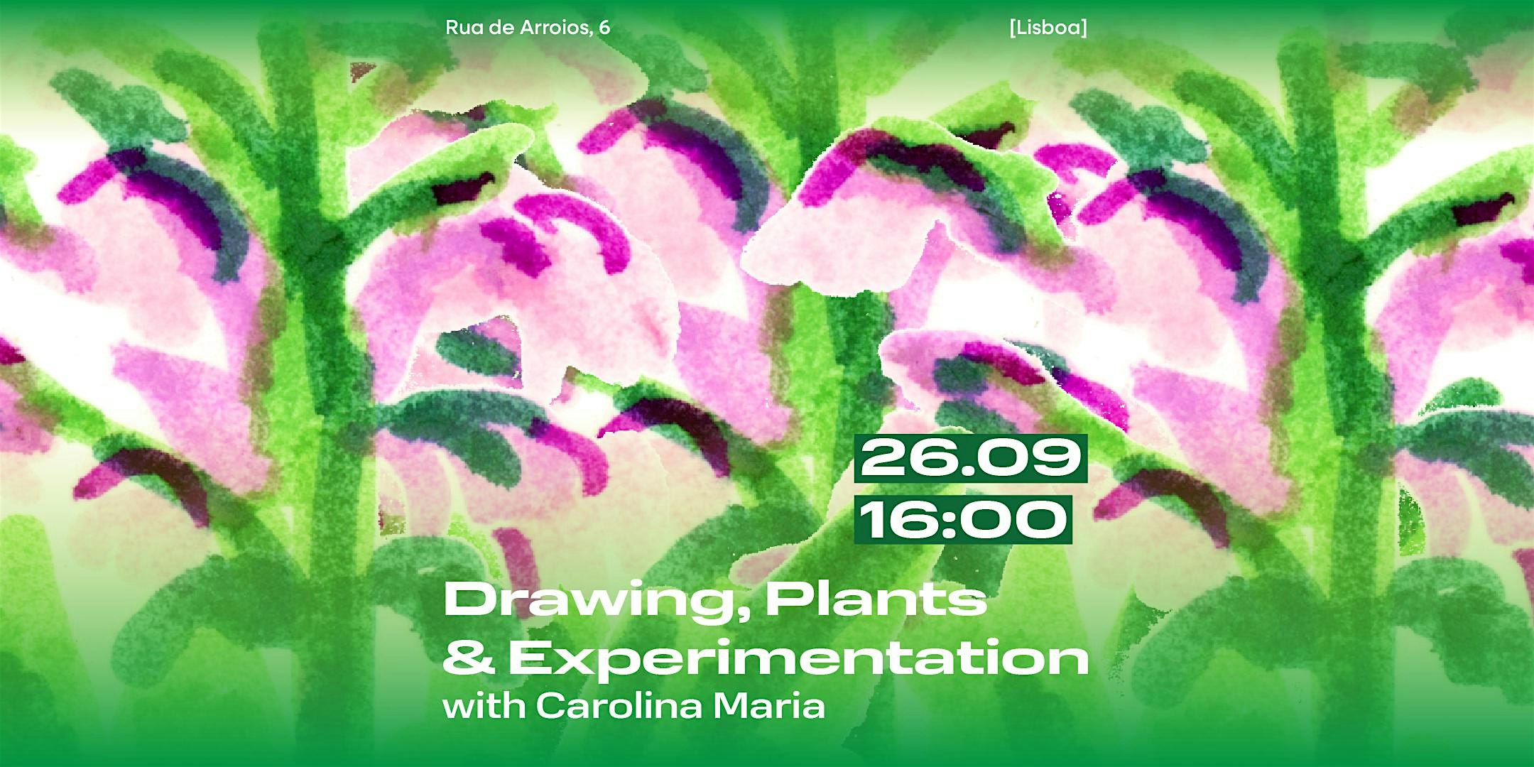 Drawing, Plants & Experimentation. Carolina Maria x Levö