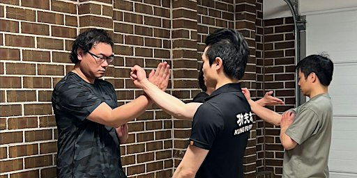 Wing Chun Beginner Lesson 成人詠春體驗課程