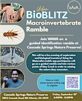 Urban Bioblitz Identification Ramble