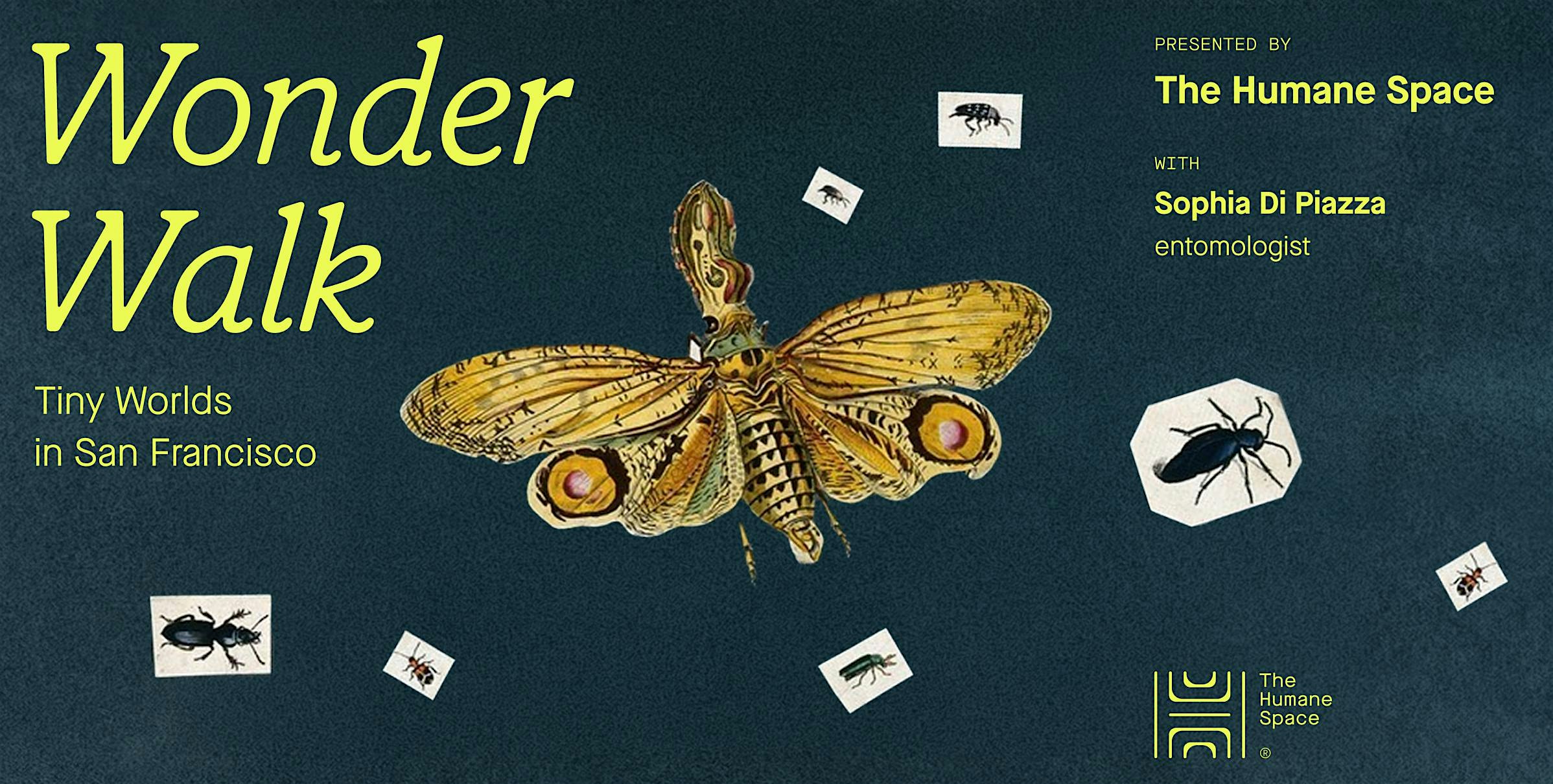 Wonder Walk:  Tiny Worlds in San Francisco