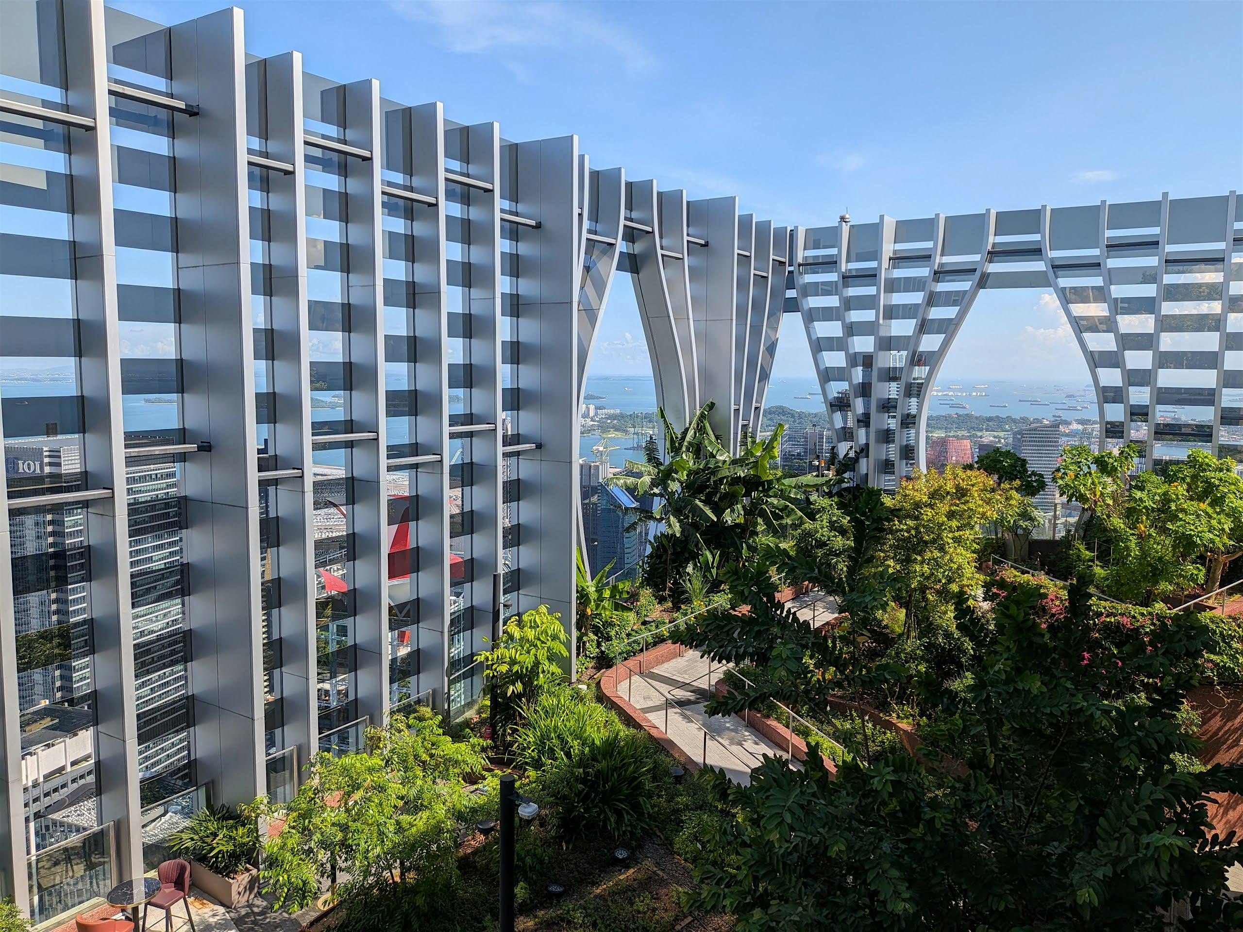 Guided walk at 1-Arden Sky Garden, 51st floor, CapitaSpring (October)