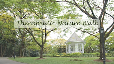 Therapeutic Nature Walk - Labrador Park