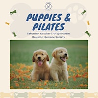 Puppies and Pilates