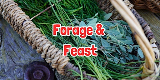 FORAGE & FEAST in Alderley Edge (Cheshire)