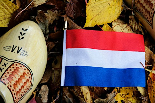 Duolingo+Nederlands in Gang  Newcomers Learn Dutch highly educated expats