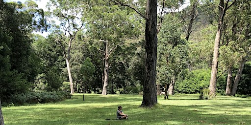 Forest Therapy, a wellness experience in the Royal National Park, Sydney