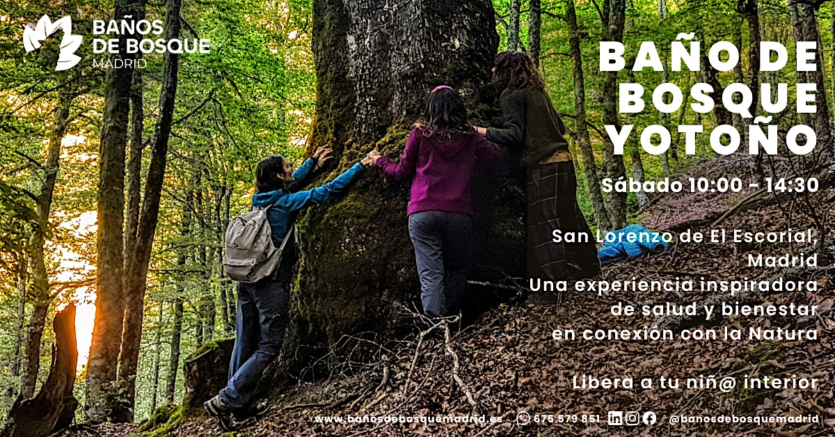 Baño de Bosque y Otoño sab 24 oct El Escorial