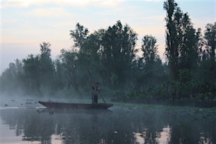 Hidden Xochimilco: Sunrise Canoe, Living Chinampas & Local Flavors
