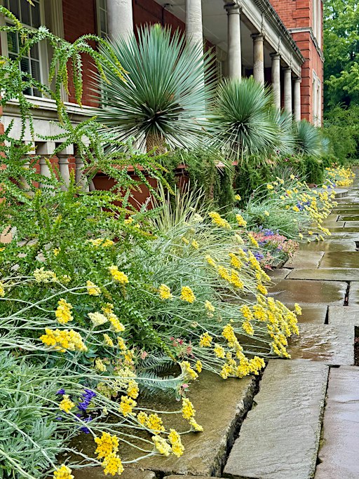 The Royal Parks: Gardening for People and Planet (LIVE)