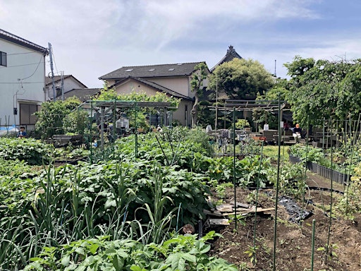 DWIH Tokyo Symposium: Human-Nature Relationships in the Anthropocene