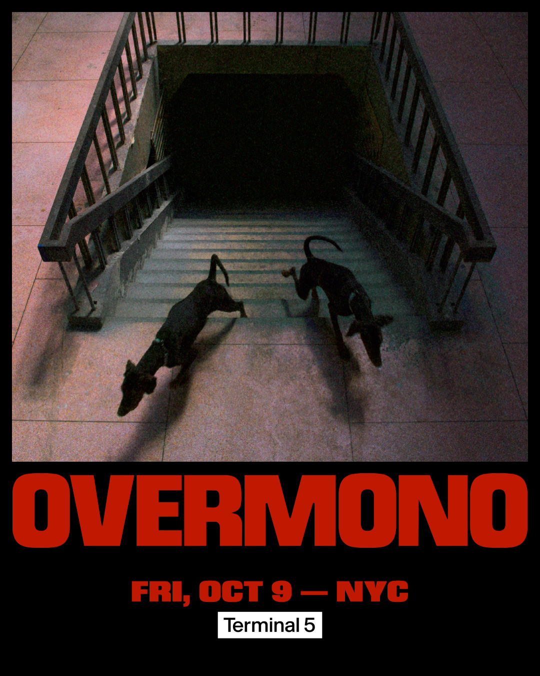 Overmono