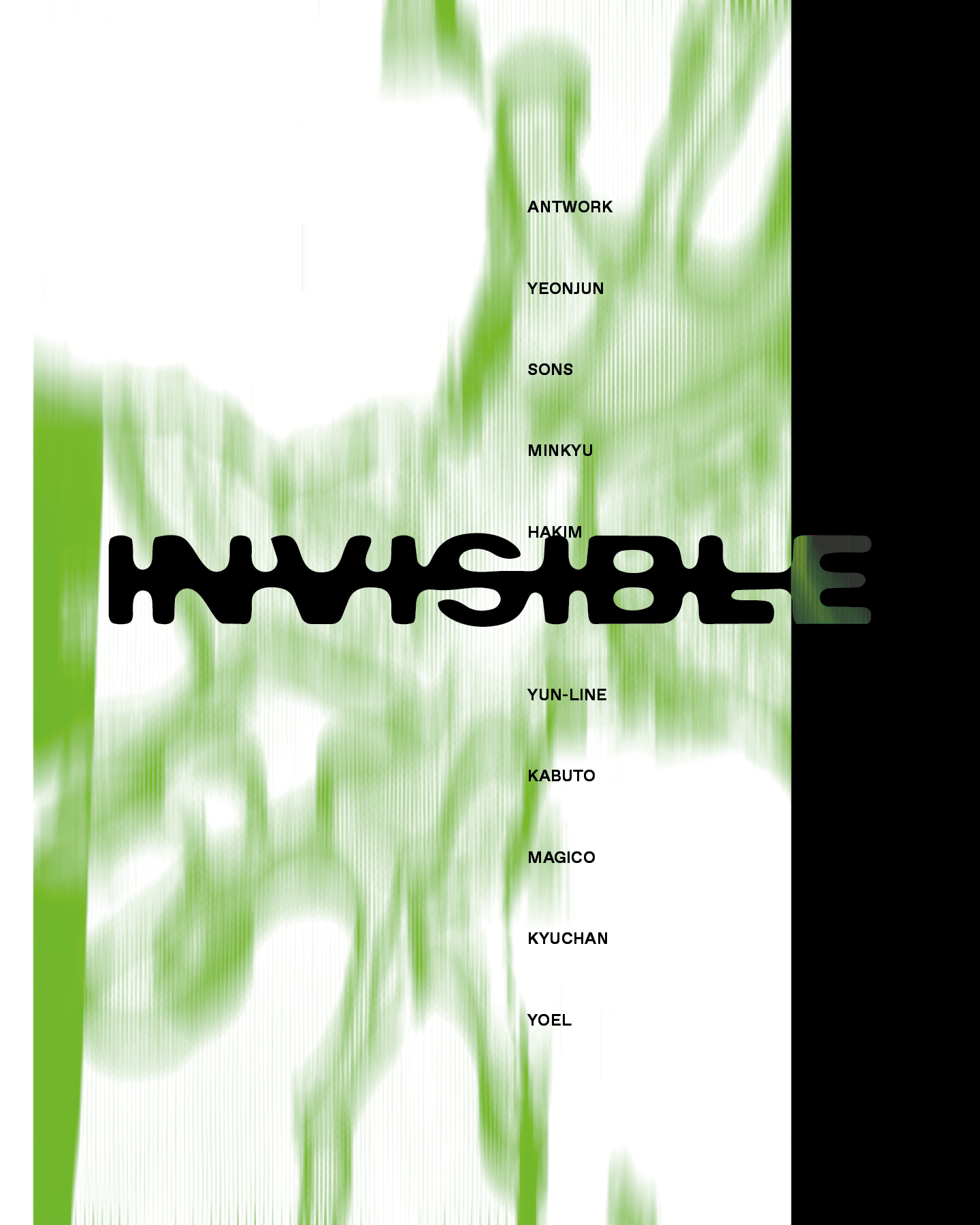 INVISIBLE