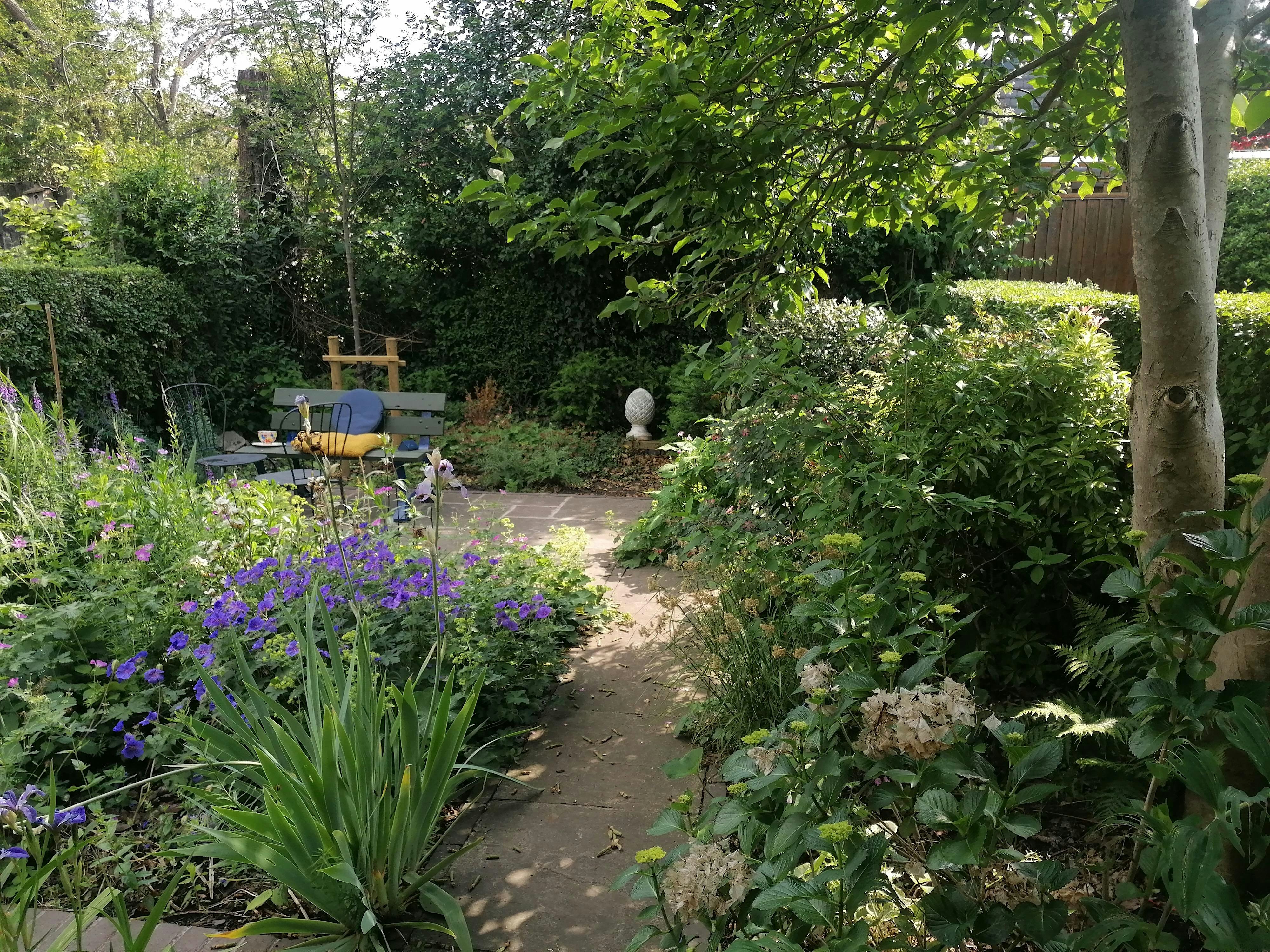 Planting for Wildlife