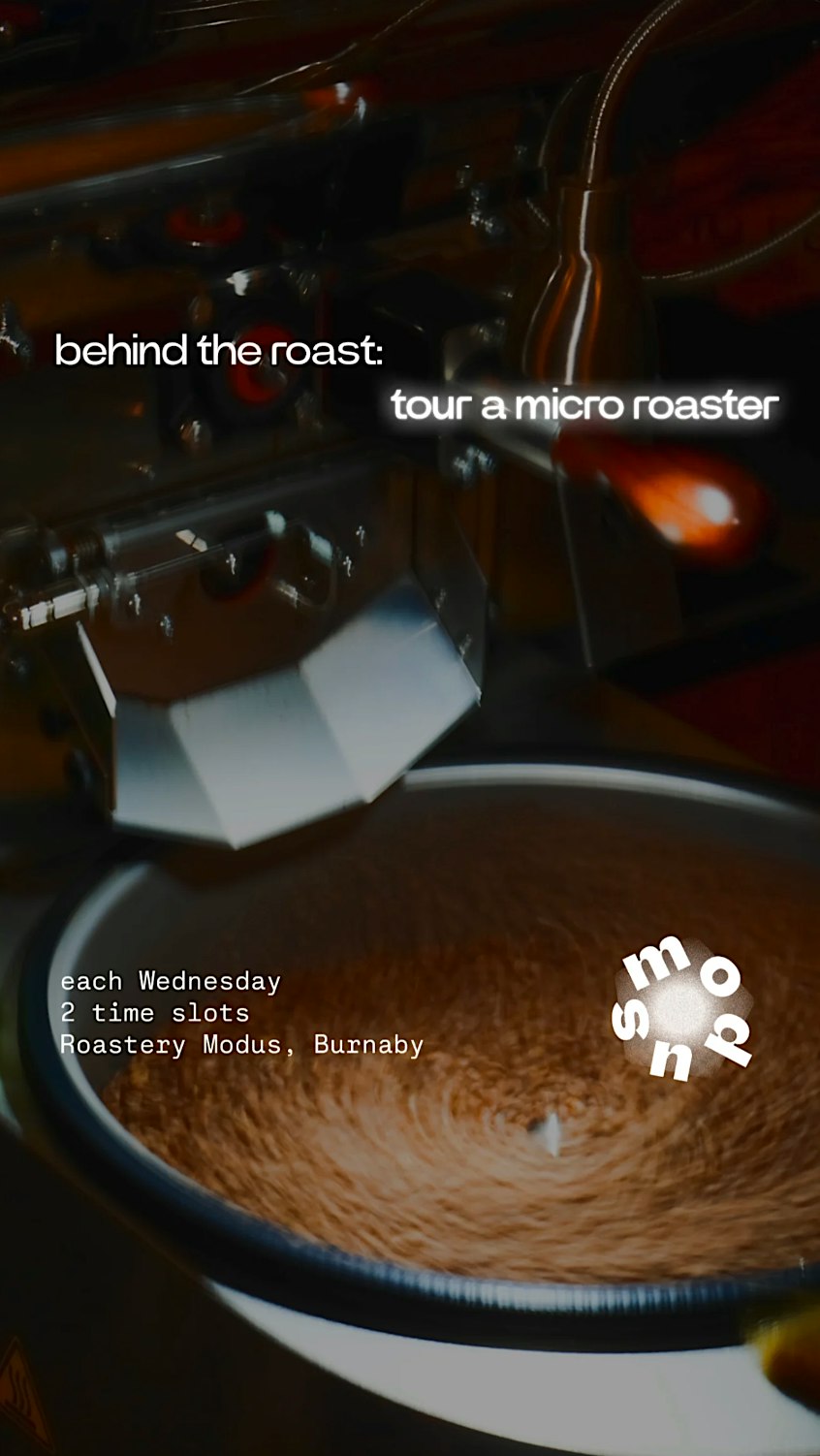 Behind the Roast: tour a live specialty roastery