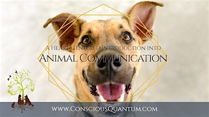 The Art of Animal Communication & Energy Healing | Connect With Your Dog