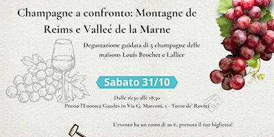 Degustazione Champagne: Montagne de Reims e Valleé de la Marne a confronto