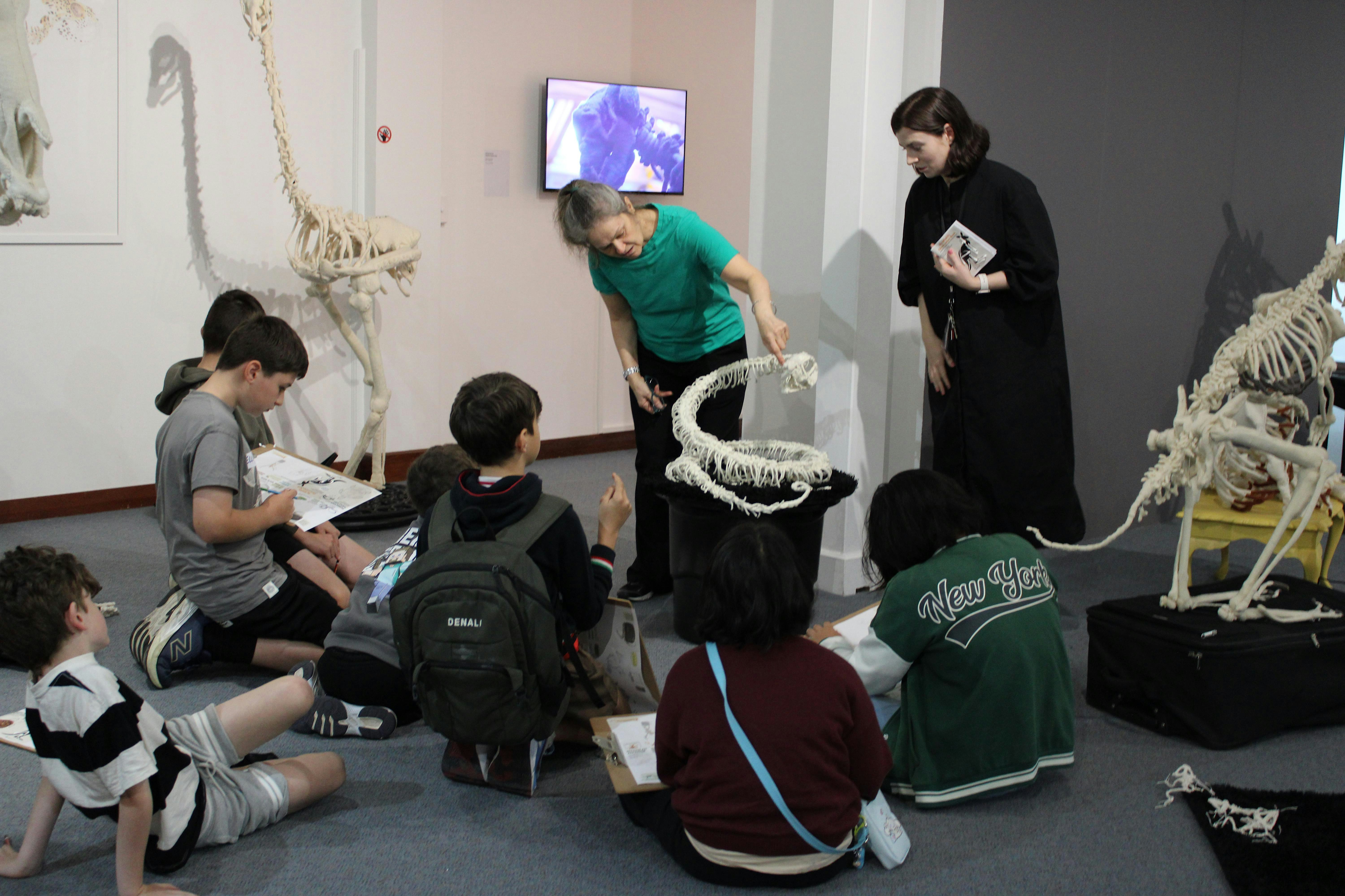 Draw & Discover: Anatomy Lessons