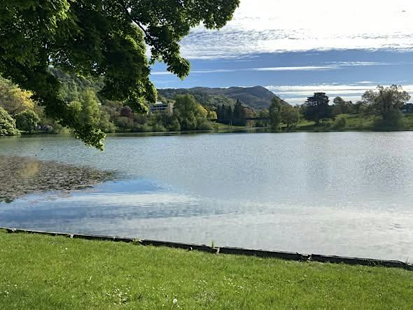 WIM UK: A One-day Gathering for Sober Women - May 2027