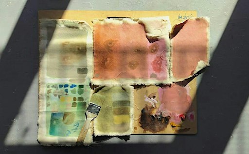 Studio Development Programme