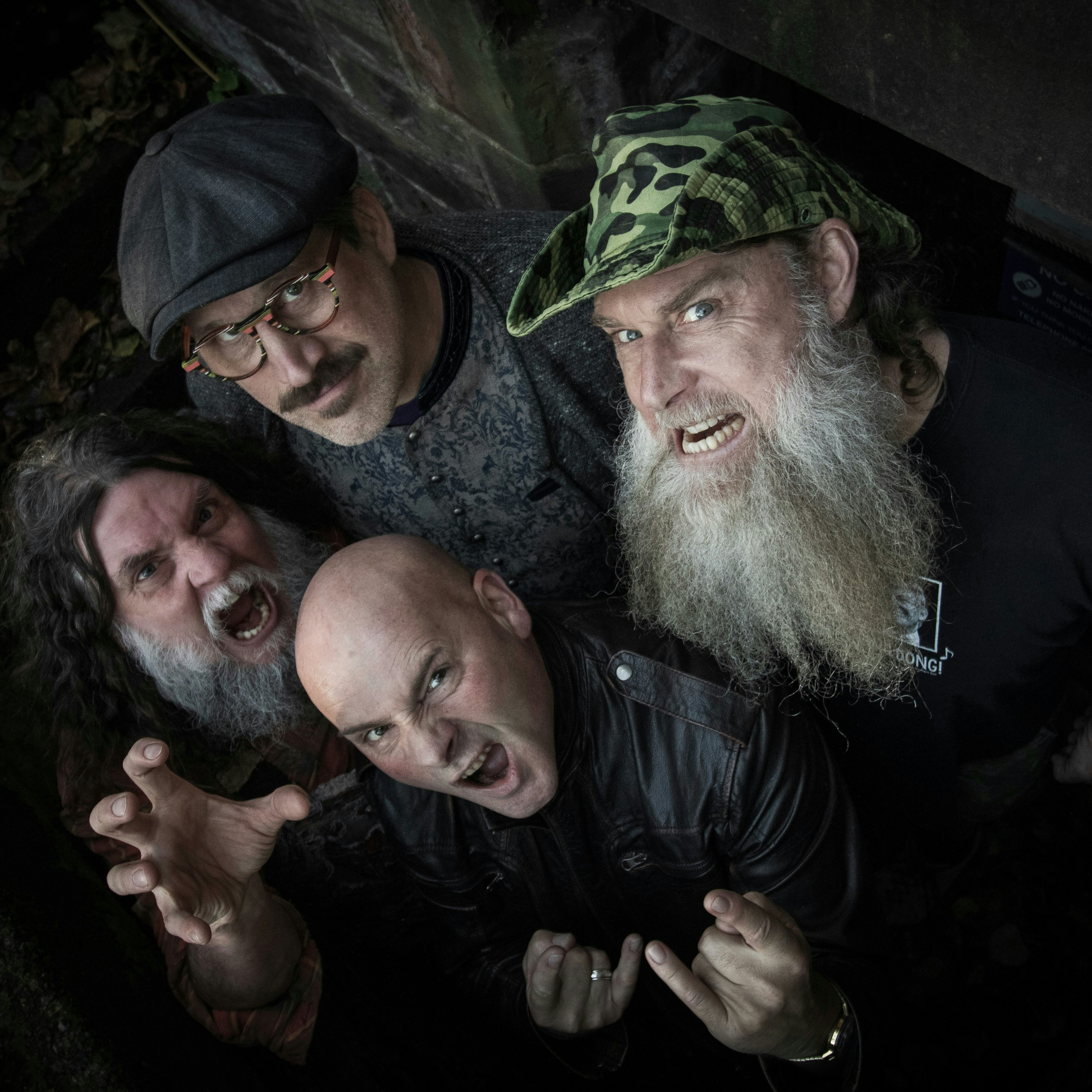 Hayseed Dixie
