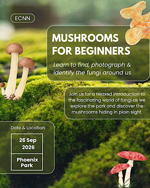 Intro to fungi walk & talk