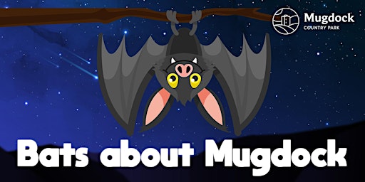 Bats about Mugdock