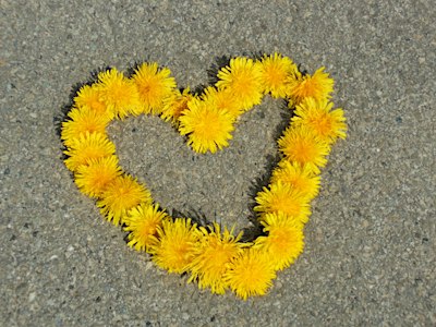 Öffne dich der heilenden Kraft der Liebe