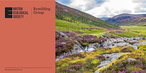 Rewilding and 30 by 30