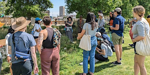 Connect w/ Nature- Intro to Foraging Workshop (West Los Angeles)