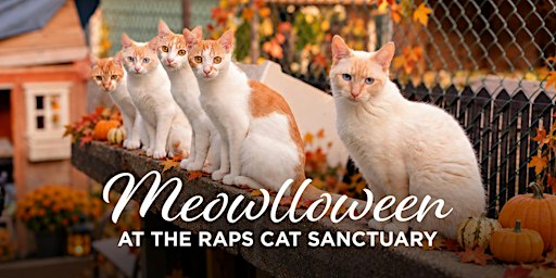 RAPS Cat Sanctuary Meowlloween